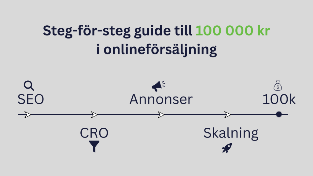 Steg-för-steg guide till 100 000 kr i onlineförsäljning
